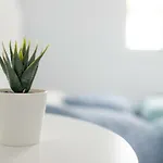 Bella Apartment