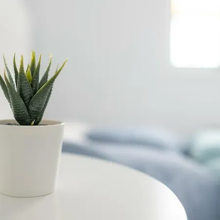 Bella Apartment